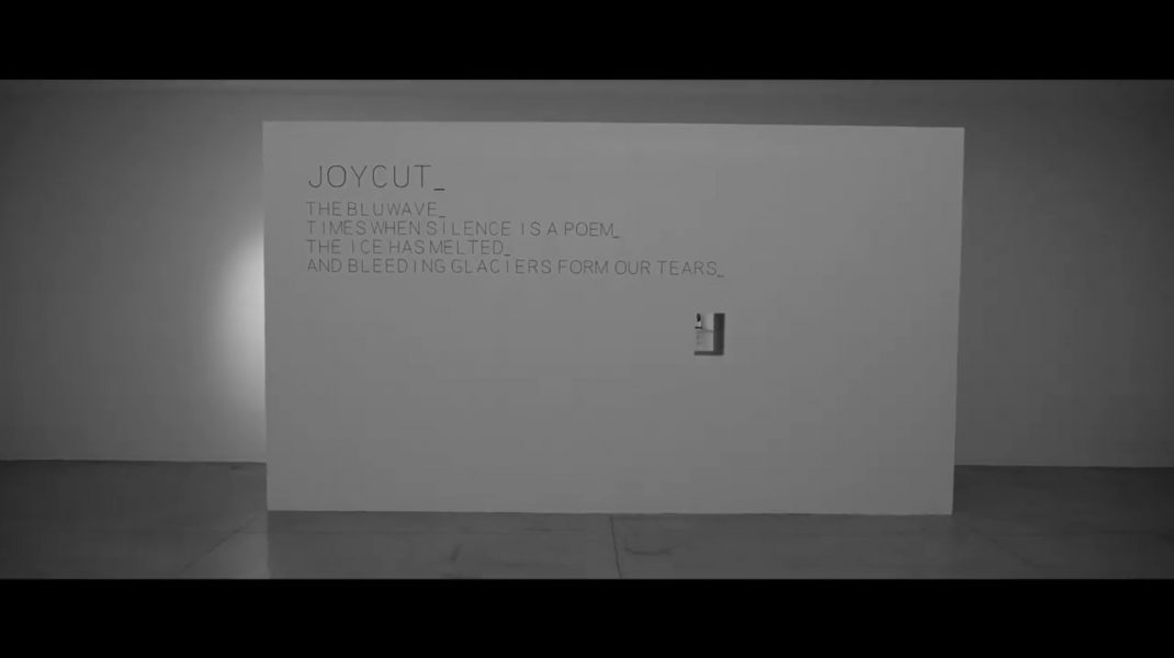 i n t o t h e B L U: l'installazione immersiva dei JoyCut al MAMbo di Bologna