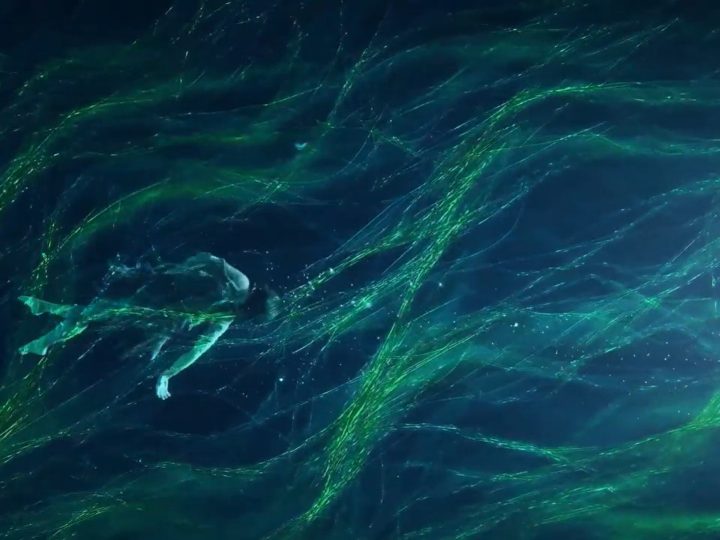 Thermal Alchemy: il viaggio nelle acque di Sara Bonaventura, tra Biennale Arte e UNESCO