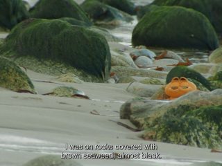 Garfield sulle spiagge della Bretagna: un corto racconta 40 anni di plastica restituita dal mare