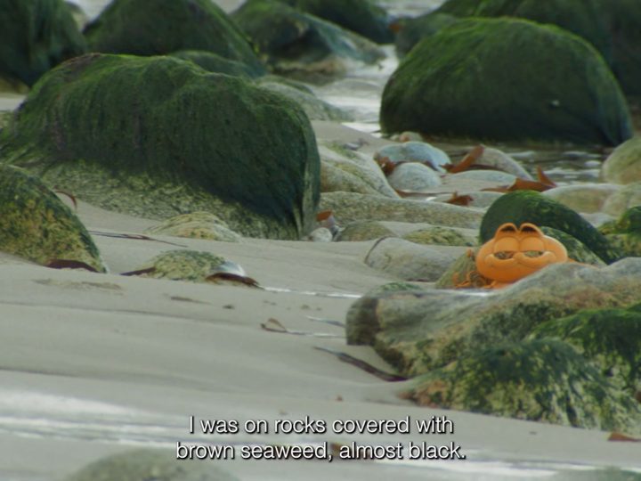Garfield sulle spiagge della Bretagna: un corto racconta 40 anni di plastica restituita dal mare