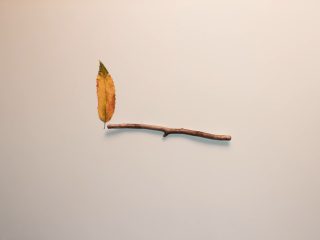 Stickmatch, il corto animato di William Crook che accende i colori dell’autunno